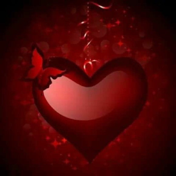 Meet your Posher, Treasure - Picture 1 of 1